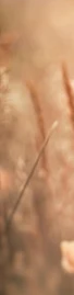 1-51267584819467-44325476761867.png