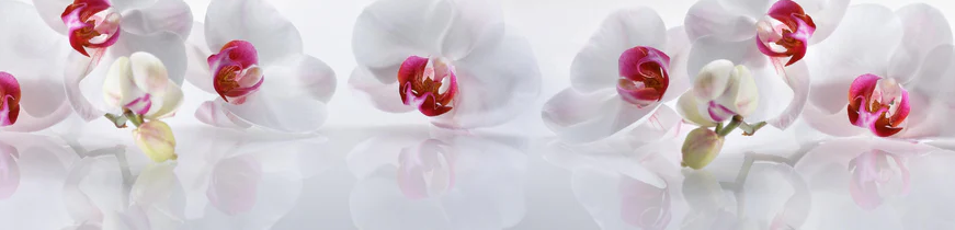 1-51977830596875-44326798983435.png
