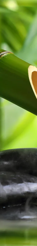1-52038205604107-46336927990027.png