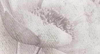 1-52403306004747-44342523166987.png