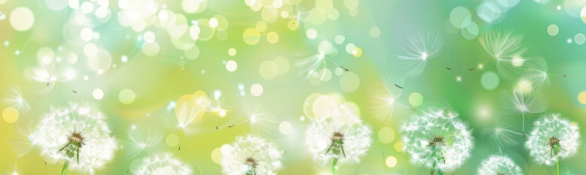 1-52800678723851-60777088123147.png