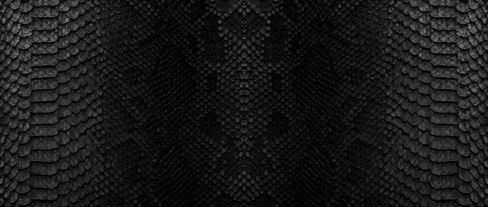 1-52801249345803-46300831056139.png
