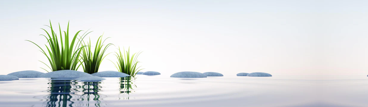 1-52801964736779-44326462456075.png