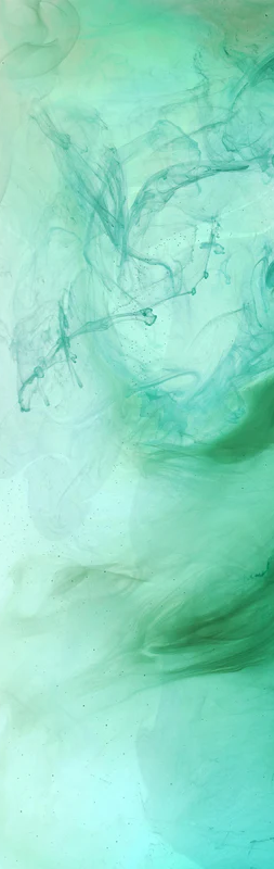 1-52805280563467-44342662824203.png
