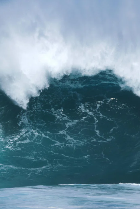 1-52815553102091-44325164122379.png