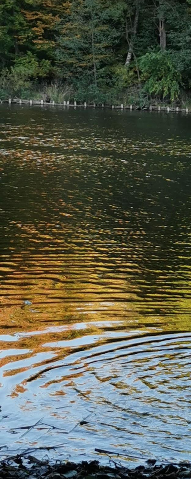 1-52817130848523-40428076204299.png