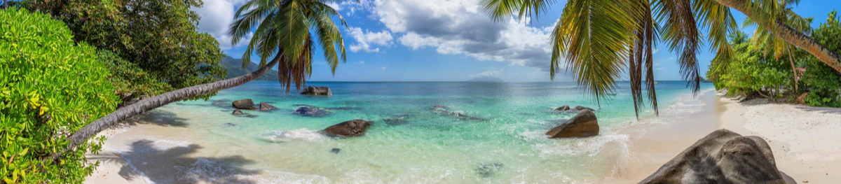 1-52825436815627-44324959289611.png