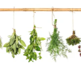 1-52842630217995-46341804327179.png