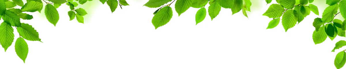 1-52842717118731-44324427301131.png