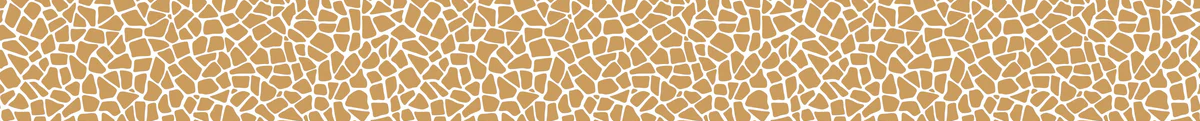 1-52882463752459-50952367341835.png