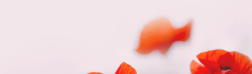 1-52893767205131-60776356937995.png