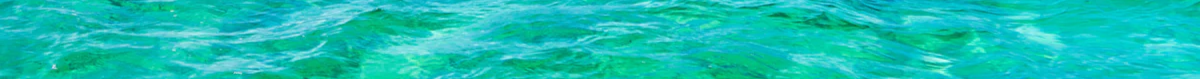 1-52897778499851-54641903108363.png