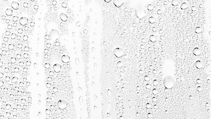 1-52906839507211-49133366477067.jpeg