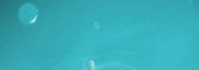 1-52916010352907-46223515844875.jpeg