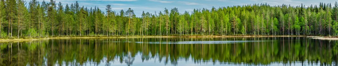 1-52920114675979-60774231507211.jpeg