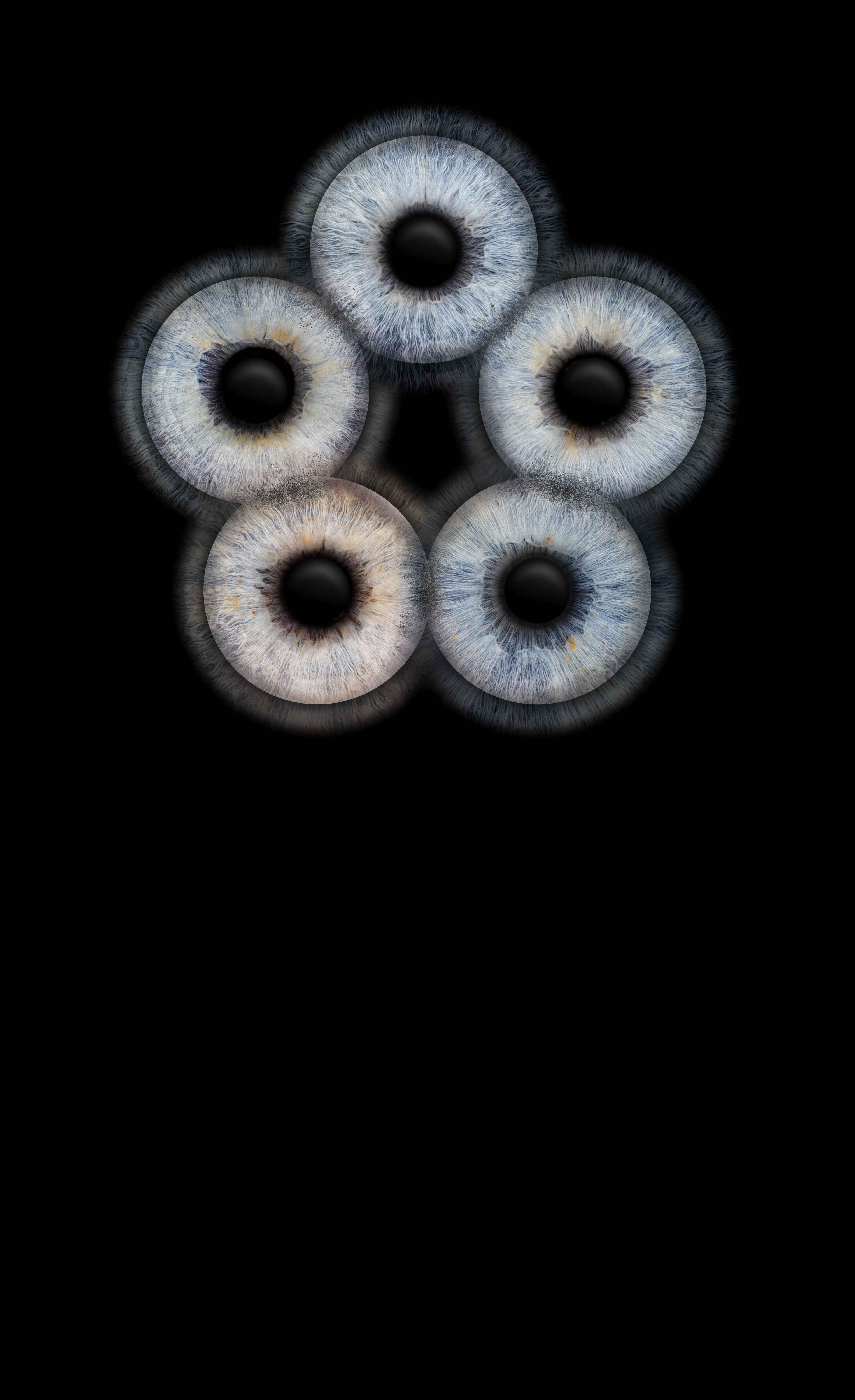 1-52923947974923-40428056740107.jpeg
