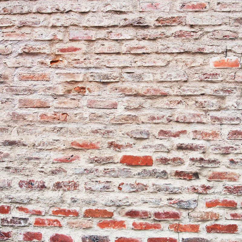 1-52949703655691-44344120836363.jpeg