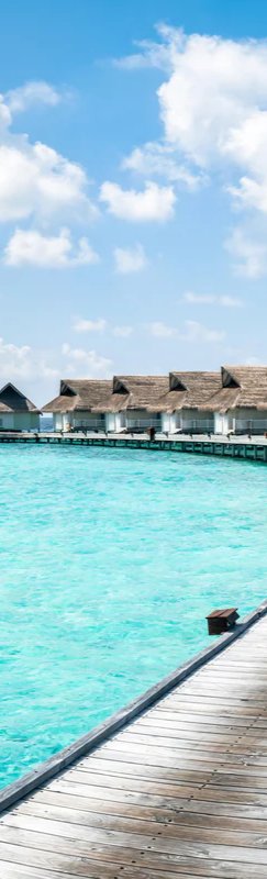 1-52958248009995-44344989942027.jpeg