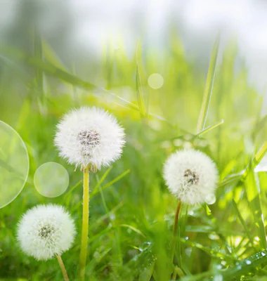 1-52962070167819-60777084059915.jpeg