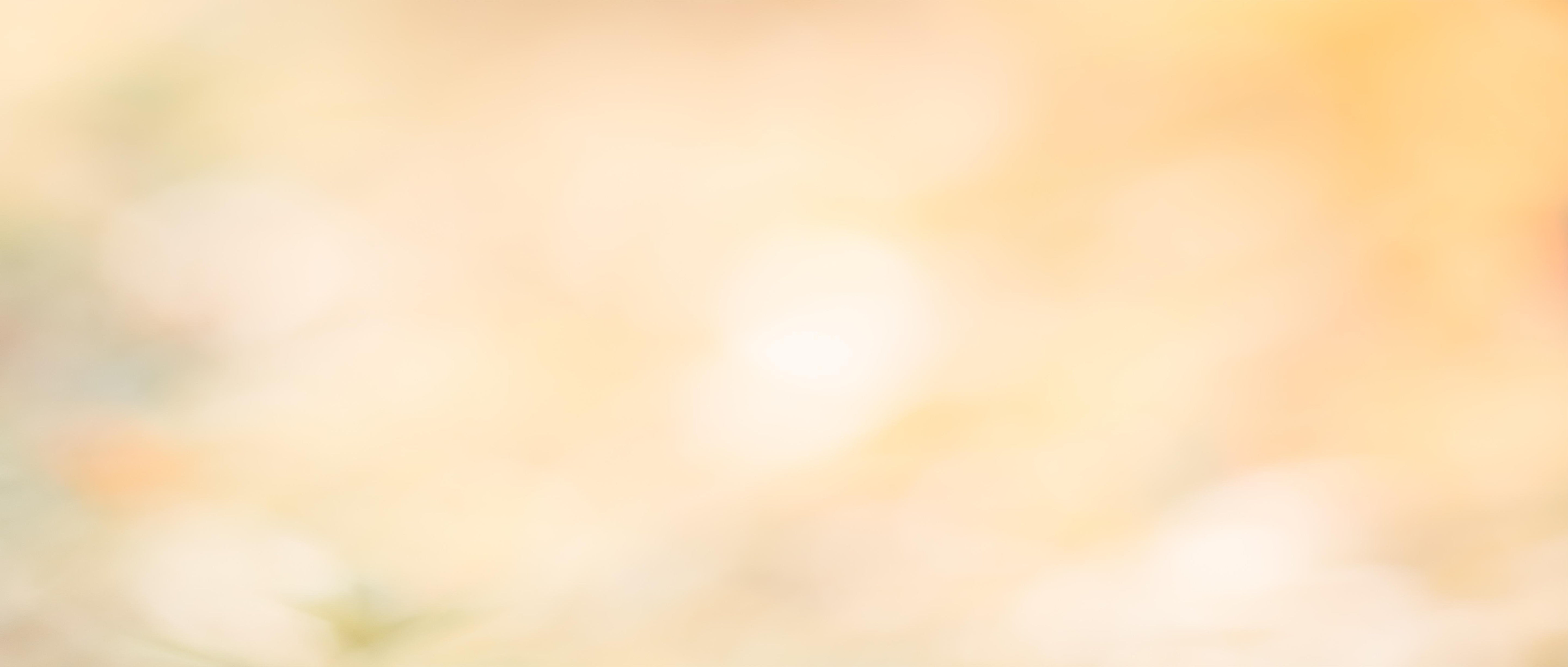 1-52970581852427-40428056740107.jpeg