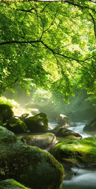 1-52976252125451-44343715299595.jpeg