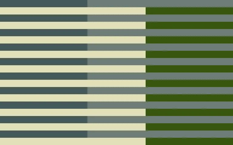 1-52988241477899-51063022977291.jpeg