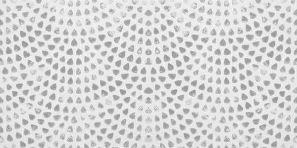 1-52991650300171-44331369660683.jpeg