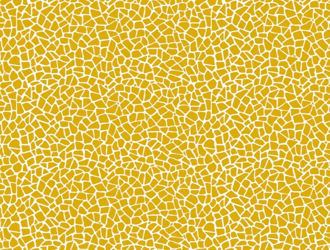1-53004061638923-50941333537035.jpeg