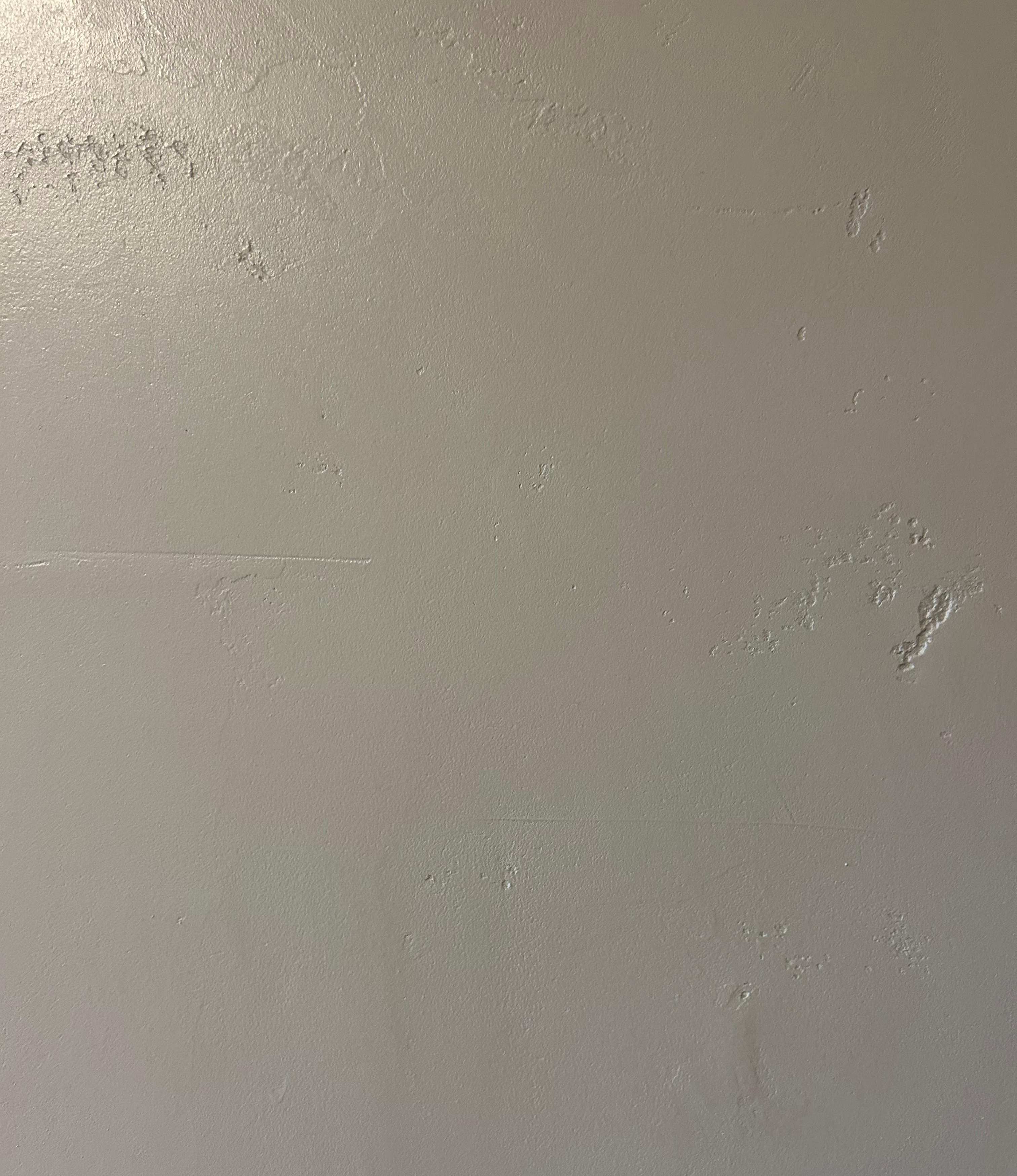 1-53017359483147-40428076204299.jpeg