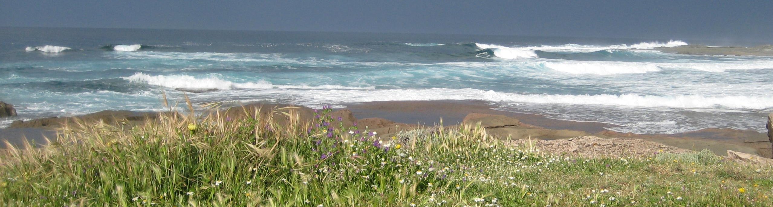 1-53017936298251-40428056740107.jpeg