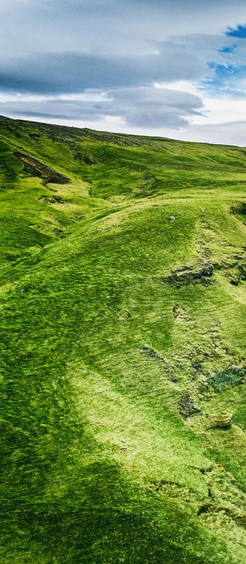 1-53028204904715-46343936737547.jpeg