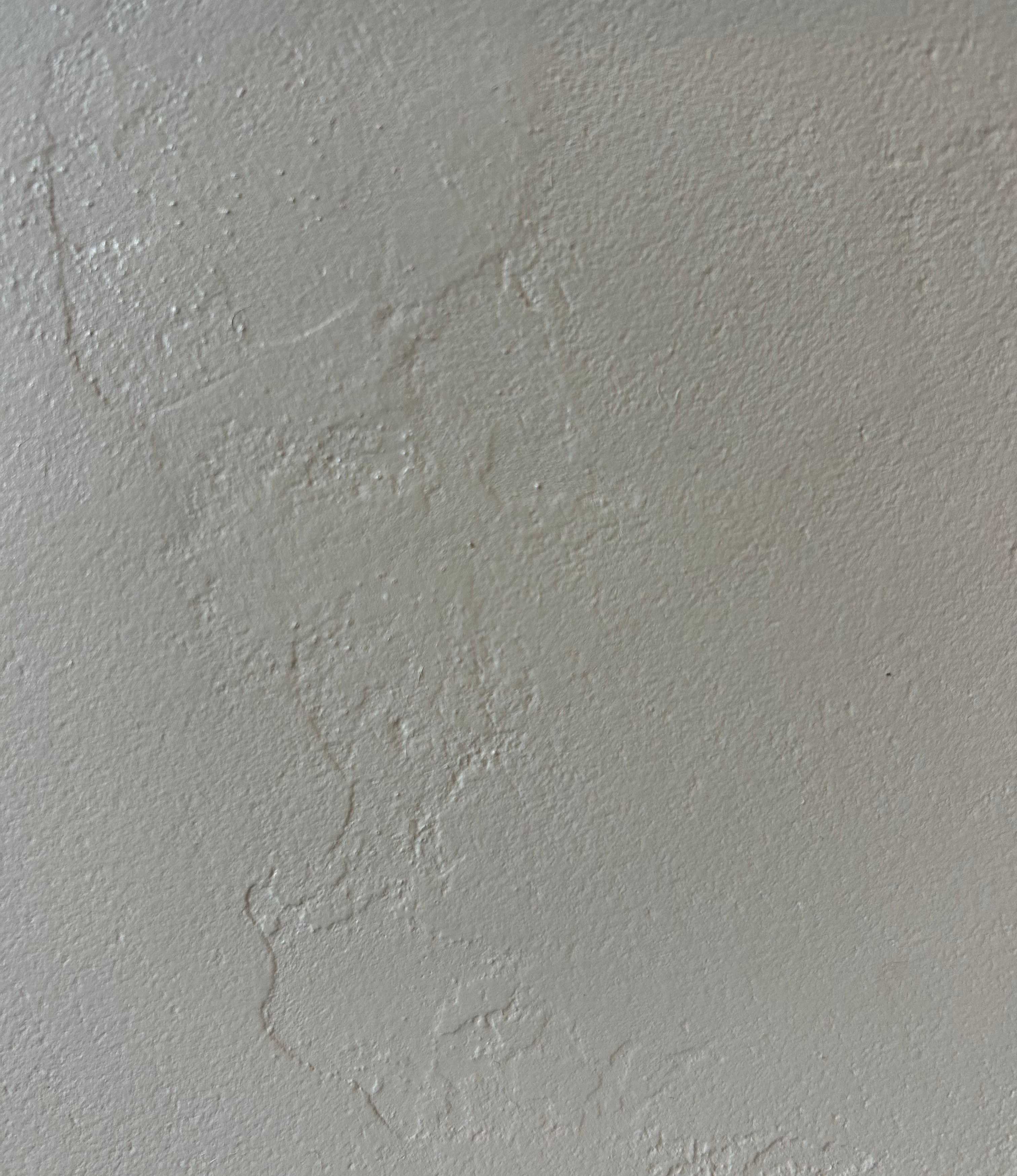 1-53028367171851-40428076204299.jpeg