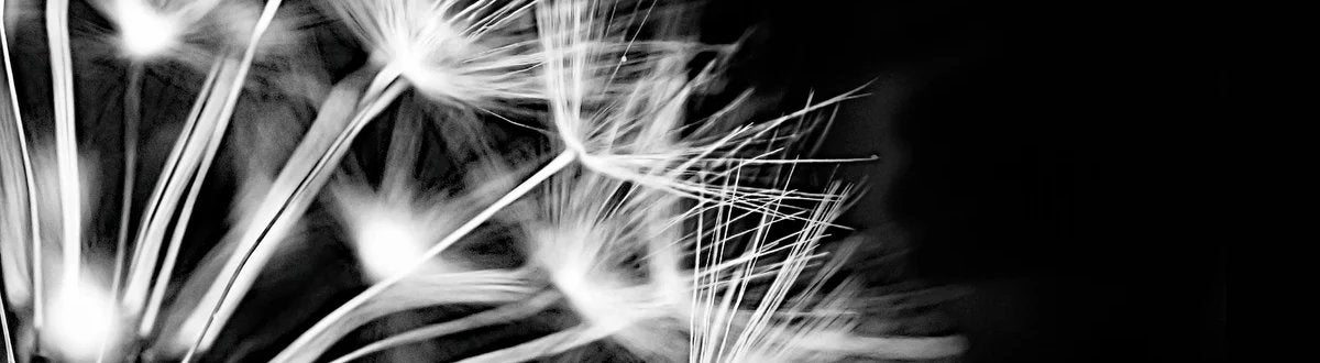 1-53051311358219-44327461781771.jpeg