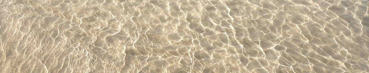 1-53057281458443-66704261087499.jpeg