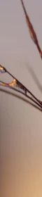 1-53057640956171-44331432673547.jpeg