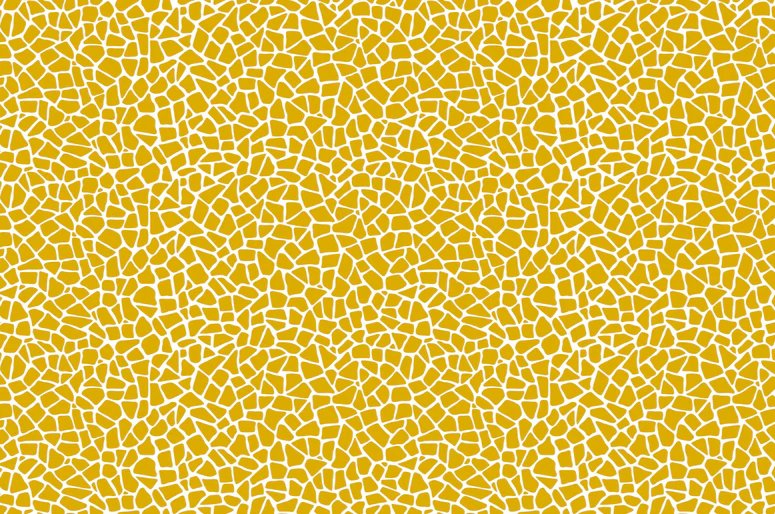 1-53059748757771-50941333537035.jpeg