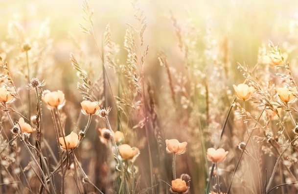 1-53072858710283-44325476761867.jpeg