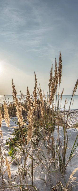 1-53074873319691-44343349117195.jpeg