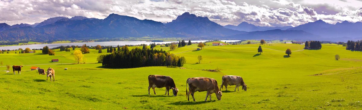 1-53089898135819-60780858114315.jpeg