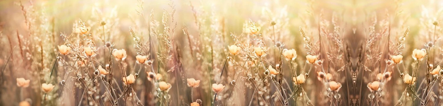1-53093153931531-44325476761867.jpeg