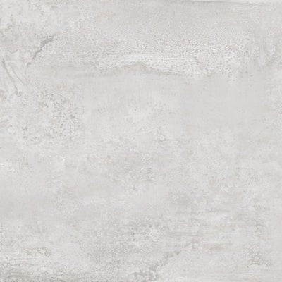 1-53094889783563-64585662169355.jpeg