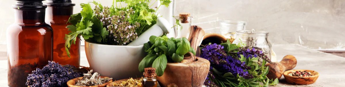 1-53096285143307-44359631667467.jpeg