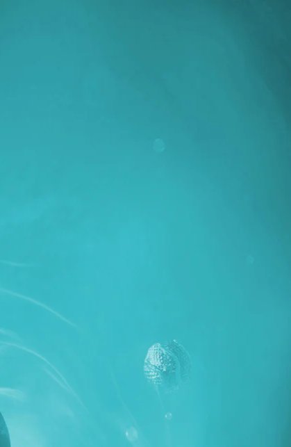 1-53101048267019-46309972836619.jpeg