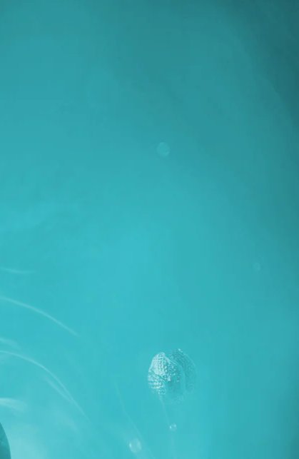 1-53101053837579-64936005304587.jpeg
