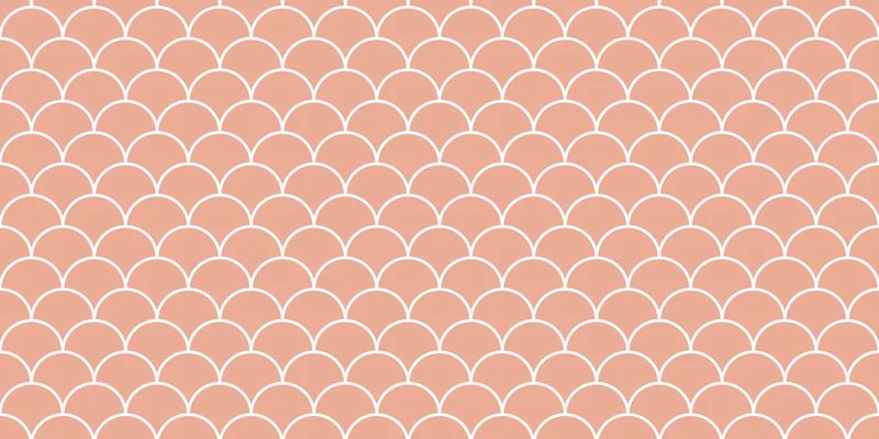 1-53103871754507-50972212953355.jpeg