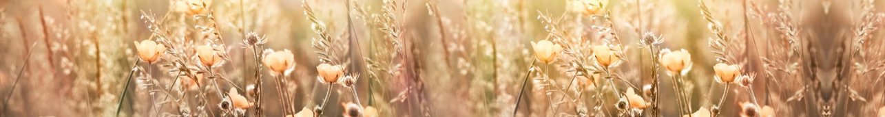 1-53103883321611-44325476761867.jpeg