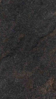 1-53112321409291-65877446689035.jpeg