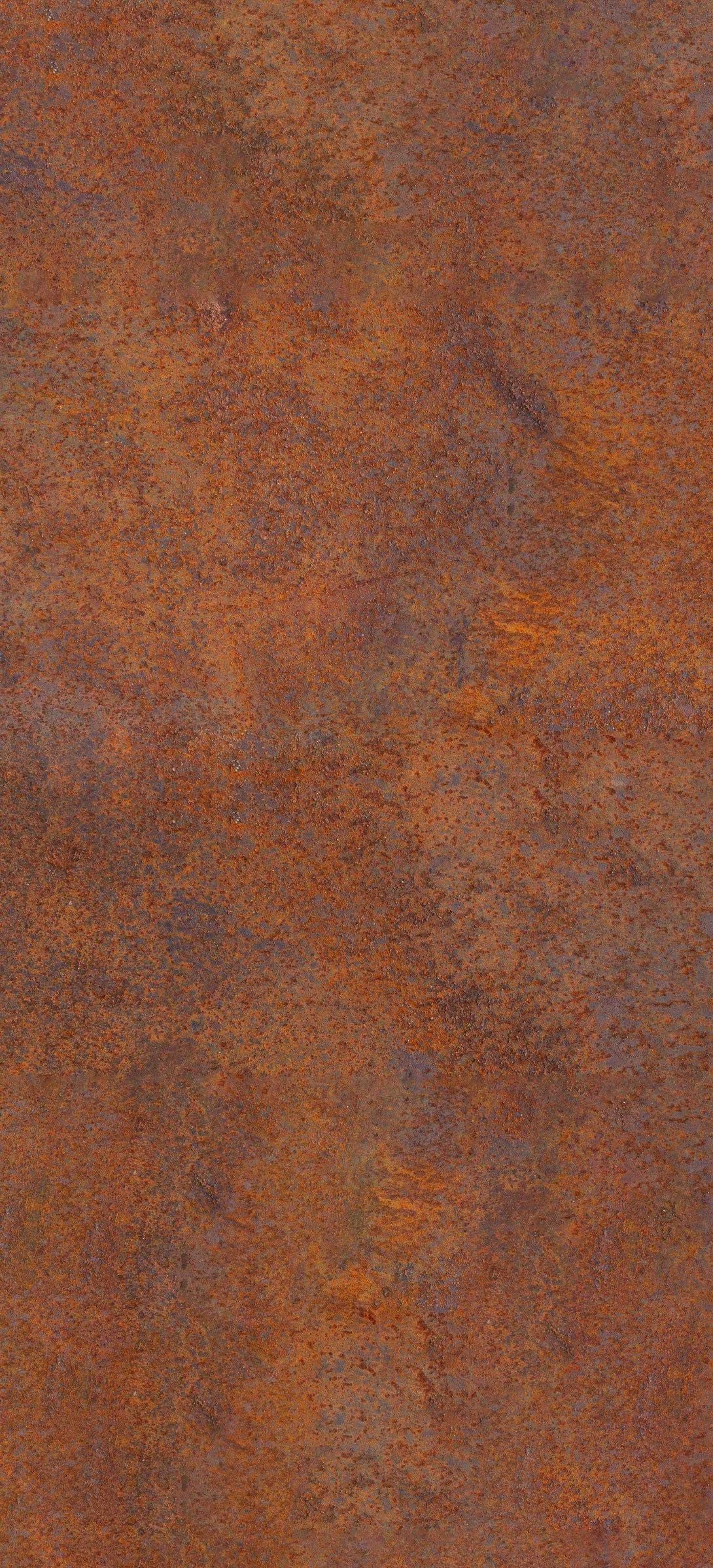 1-53120866451723-66100667678987.jpeg