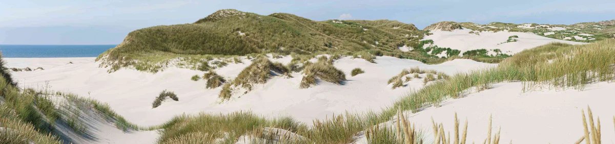 1-53124846551307-66321935630603.jpeg