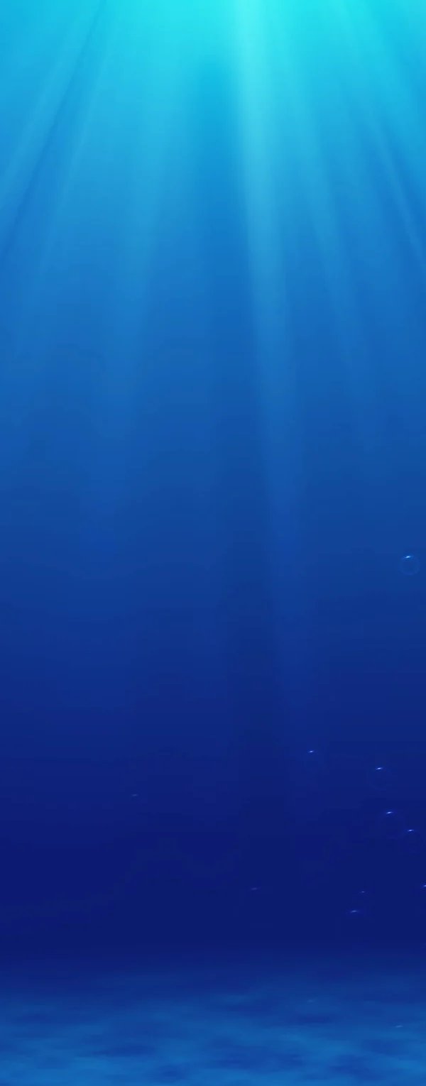1-53125671387403-66100699660555.jpeg